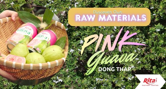 Rita Visits a Guava Farm in Dong Thap to Explore Fresh Fruit Sourcing
