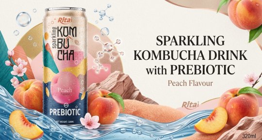 Rita Sparkling Kombucha Peach Flavour With Prebiotic 320ml Can
