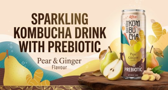 Rita Sparkling Kombucha Pear & Ginger Flavour With Prebiotic 320ml Can