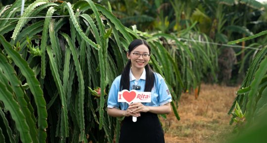 Rita’s Dragon Fruit Raw Material Area in Binh Thuan