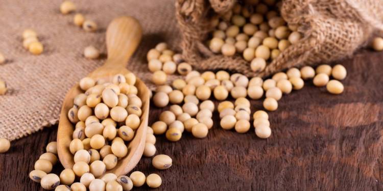 Health Benefits Of Soybean