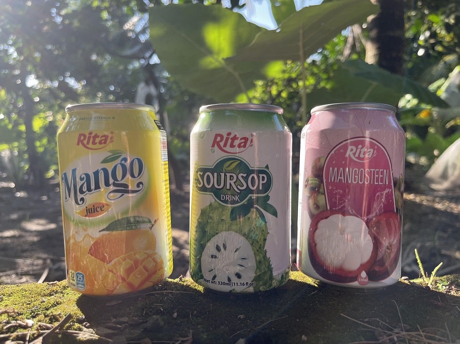Rita Fruit Juice Drink 330ml Can