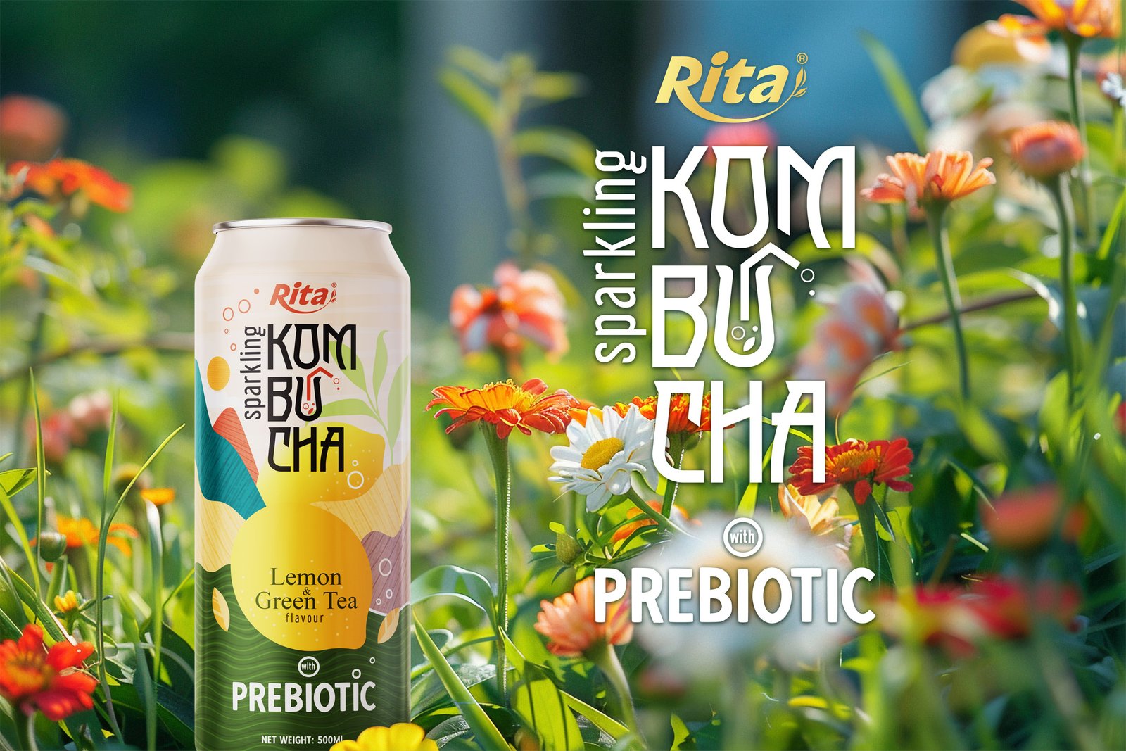 Series 5 cans Sparkling Kombucha Prebiotic 3