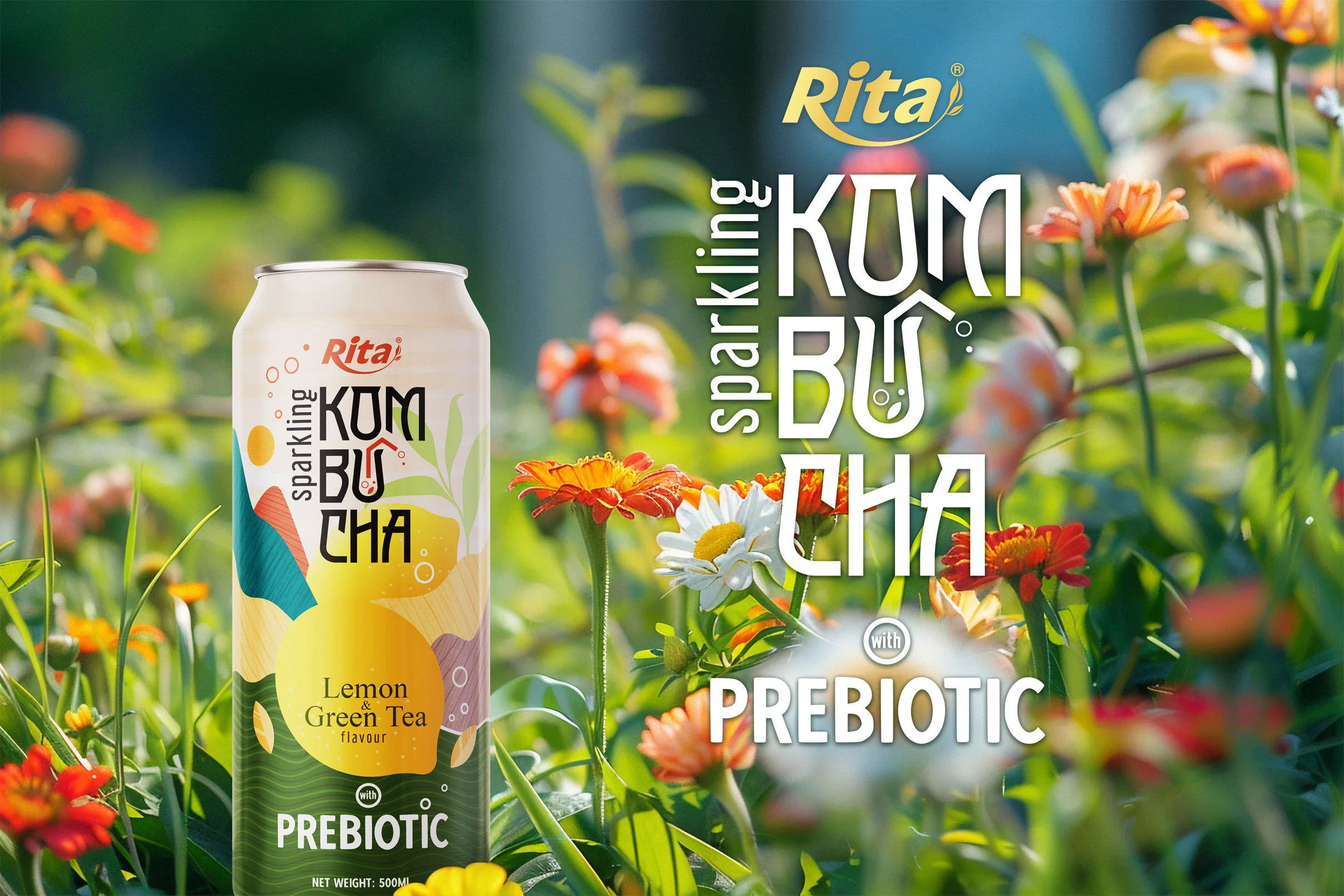 Series 5 cans Sparkling Kombucha Prebiotic 3