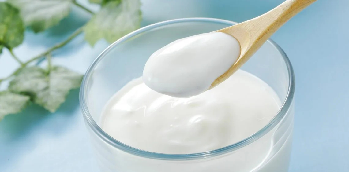 YOGURT – Everything you need to know?