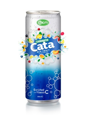 250ml OEM Carbonated Mix Fruit Flavor Drink