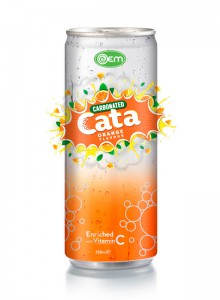 250ml OEM Carbonated Orange Flavor Drink