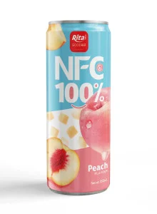 320ml fruit juice 02 N