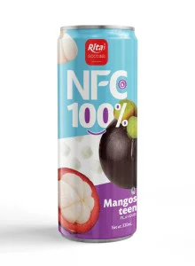 320ml fruit juice 04 N