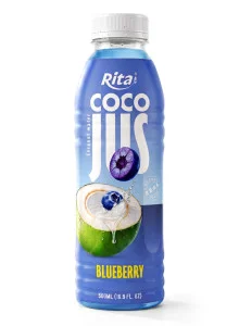COCO JUS Real Coconut Water with Blueberry Juice 500ml (16.9 fl oz)