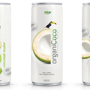Design Organic-Coconut-water 250ml