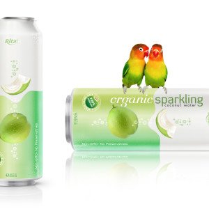 Organic-Sparkling-Coconut-water 500ml