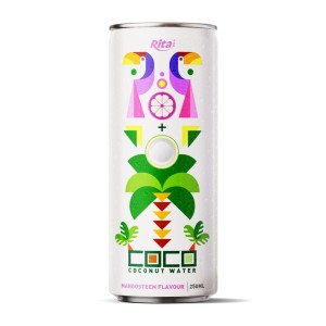 coconut water with mangosteen flavour250mlcan